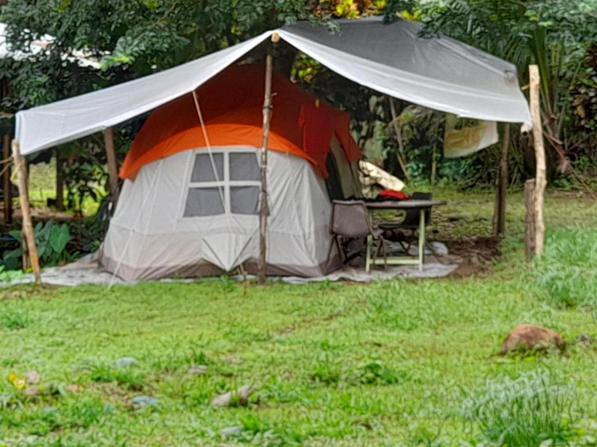 3 Rivers Eco Lodge Rosalie Kültér fotó