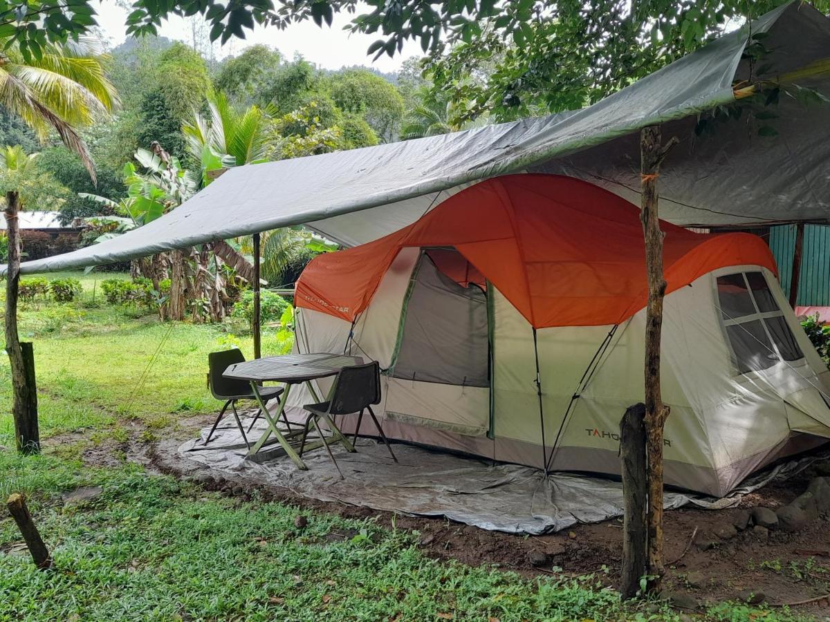 3 Rivers Eco Lodge Rosalie Kültér fotó