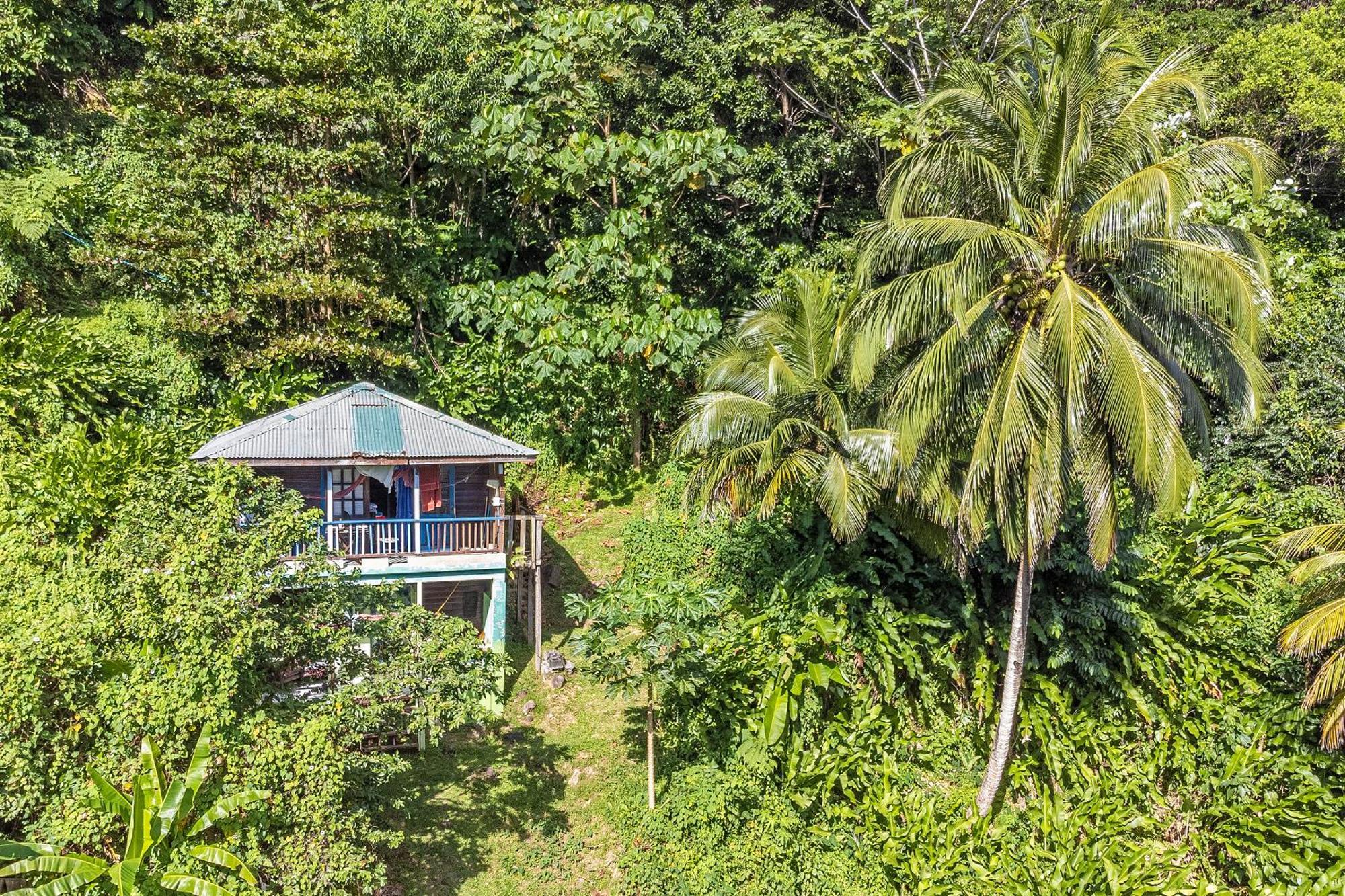 3 Rivers Eco Lodge Rosalie Kültér fotó