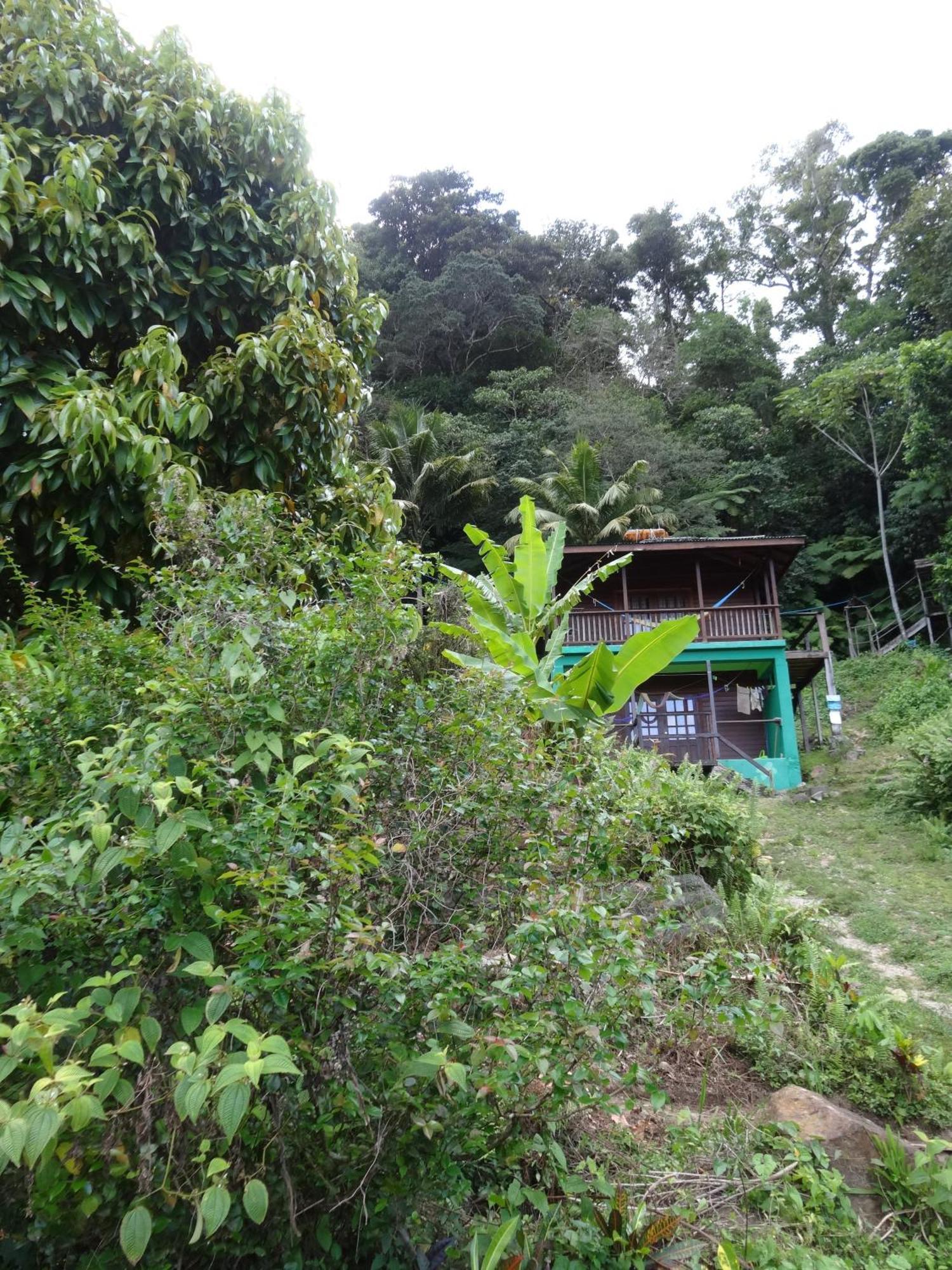 3 Rivers Eco Lodge Rosalie Kültér fotó