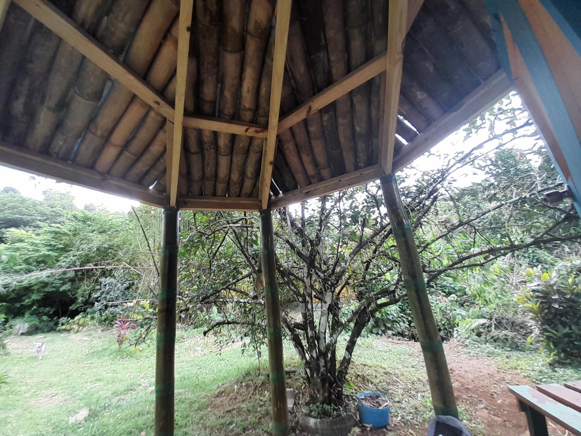 3 Rivers Eco Lodge Rosalie Szoba fotó
